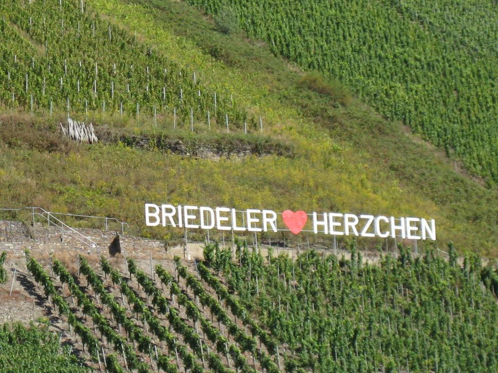Hotel Weingut Goeres Briedel Habitación foto